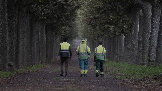 proveïdors de serveis i productes a catalunya