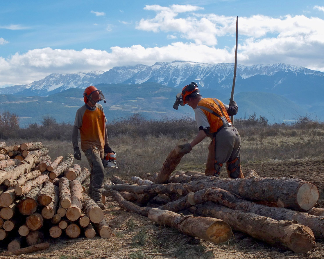 empresa d'inserció laboral
