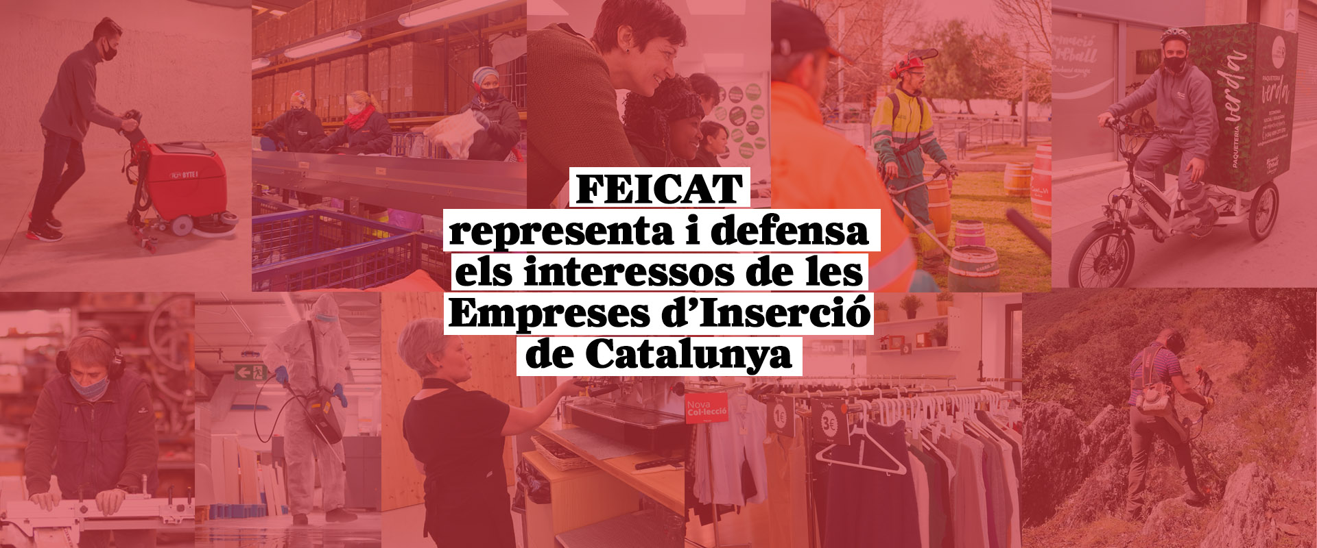 empresas d'inserció laboral